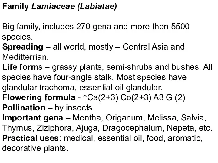 Family Lamiaceae (Labiatae) Big family, includes 270 gena and more