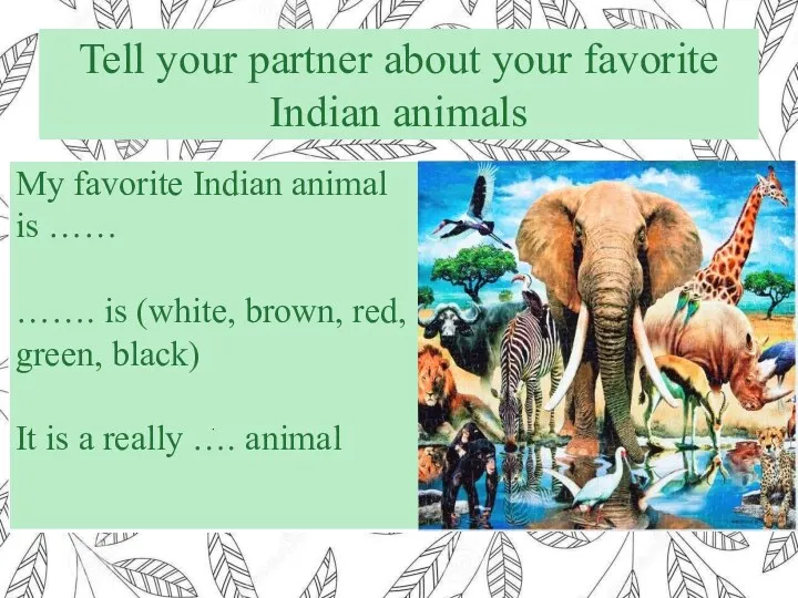 Tell your partner about your favorite Indian animals .