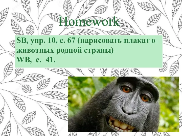 Homework