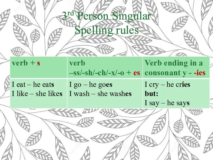 3rd Person Singular Spelling rules