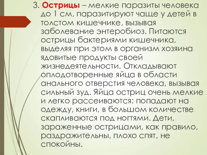 3. Острицы – мелкие паразиты человека до 1 см, паразитируют