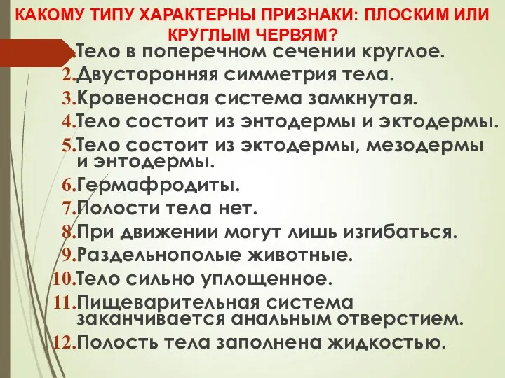 Тело в поперечном сечении круглое. Двусторонняя симметрия тела. Кровеносная система