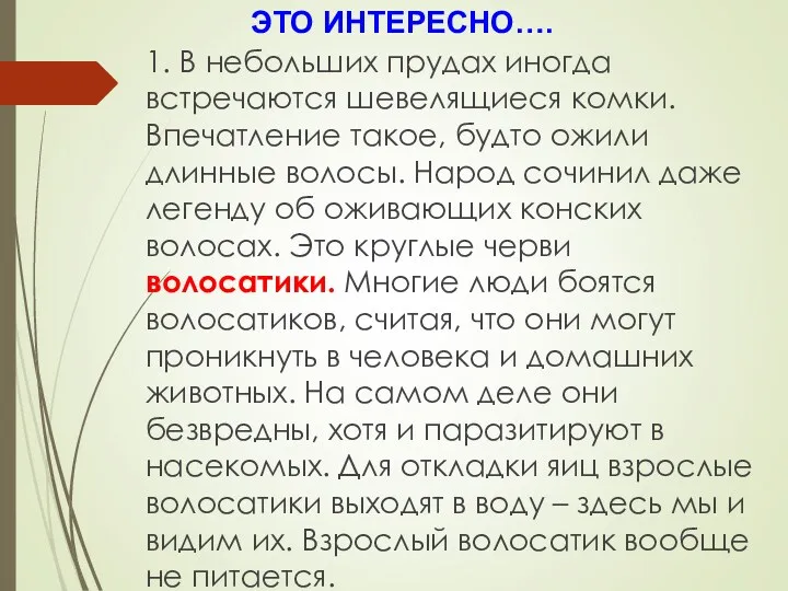 1. В небольших прудах иногда встречаются шевелящиеся комки. Впечатление такое,