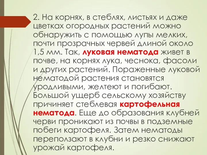 2. На корнях, в стеблях, листьях и даже цветках огородных