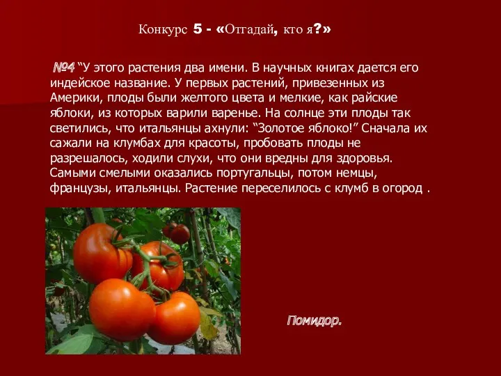 №4 “У этого растения два имени. В научных книгах дается