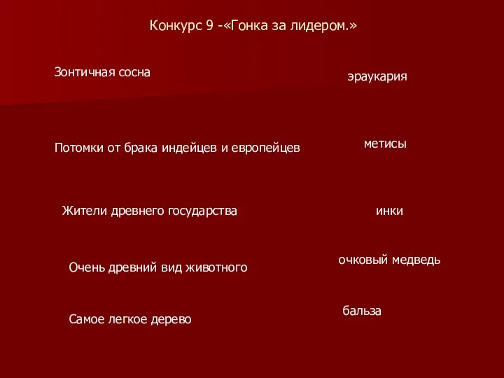 Конкурс 9 -«Гонка за лидером.» Зонтичная сосна эраукария Потомки от