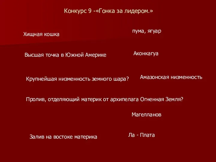 Конкурс 9 -«Гонка за лидером.» Хищная кошка пума, ягуар Высшая