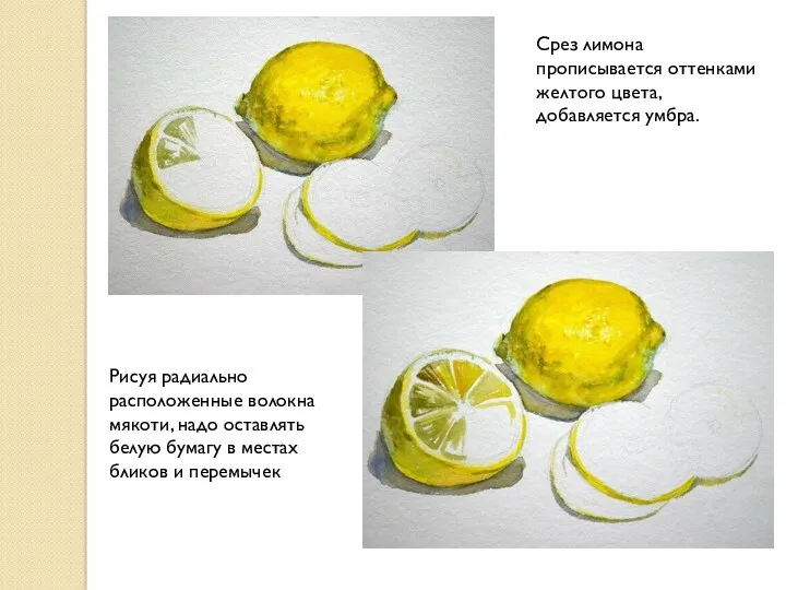 Срез лимона прописывается оттенками желтого цвета, добавляется умбра. Рисуя радиально расположенные волокна мякоти,