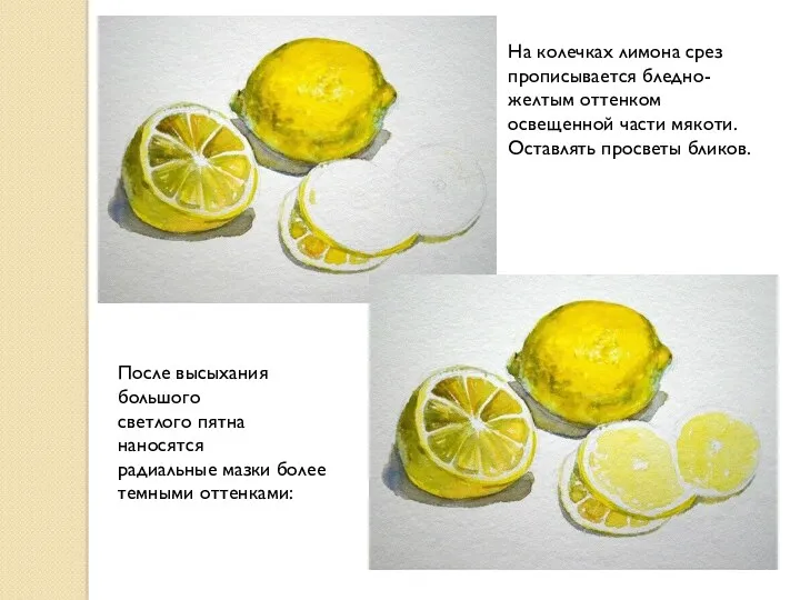На колечках лимона срез прописывается бледно-желтым оттенком освещенной части мякоти. Оставлять просветы бликов.