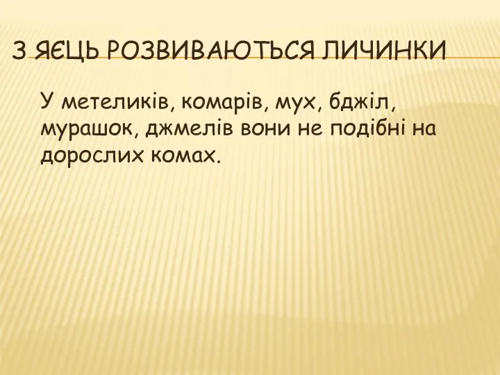 З ЯЄЦЬ РОЗВИВАЮТЬСЯ ЛИЧИНКИ У метеликів, комарів, мух, бджіл, мурашок,