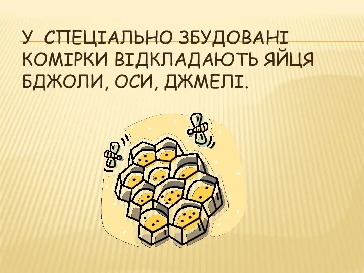 У СПЕЦІАЛЬНО ЗБУДОВАНІ КОМІРКИ ВІДКЛАДАЮТЬ ЯЙЦЯ БДЖОЛИ, ОСИ, ДЖМЕЛІ.