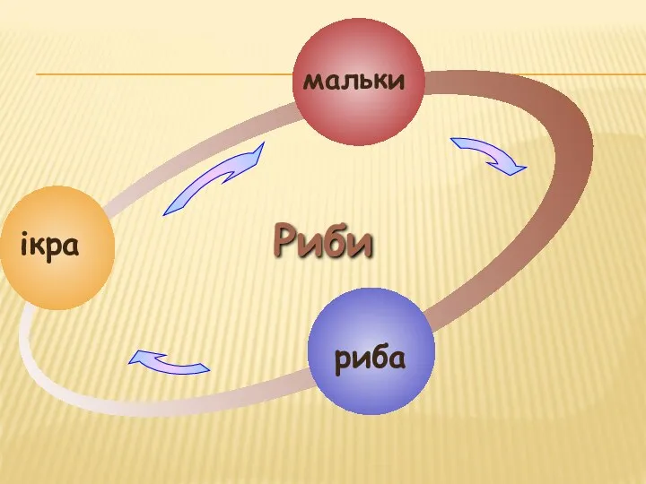 ікра мальки риба Риби