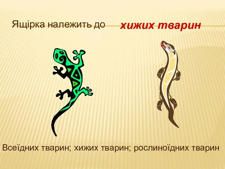 Ящірка належить до хижих тварин Всеїдних тварин; хижих тварин; рослиноїдних тварин