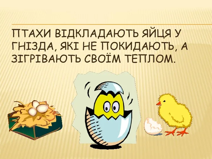 ПТАХИ ВІДКЛАДАЮТЬ ЯЙЦЯ У ГНІЗДА, ЯКІ НЕ ПОКИДАЮТЬ, А ЗІГРІВАЮТЬ СВОЇМ ТЕПЛОМ.