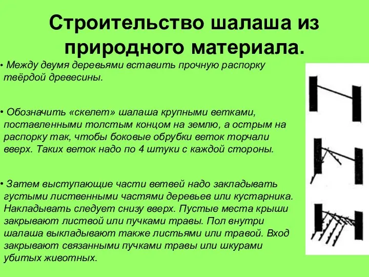 Строительство шалаша из природного материала. Между двумя деревьями вставить прочную