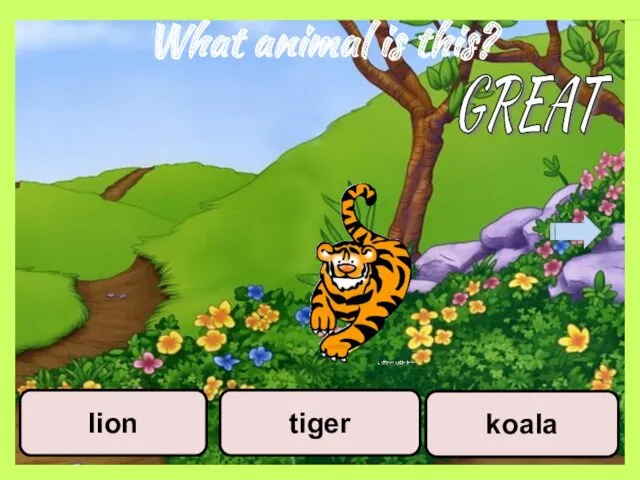 What animal is this? koala tiger lion GREAT