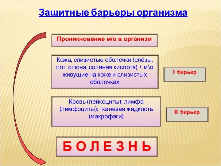 Защитные барьеры организма Проникновение м/о в организм Кожа, слизистые оболочки