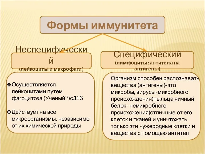 Формы иммунитета Неспецифический (лейкоциты и макрофаги) Древняя форма Специфический (лимфоциты: