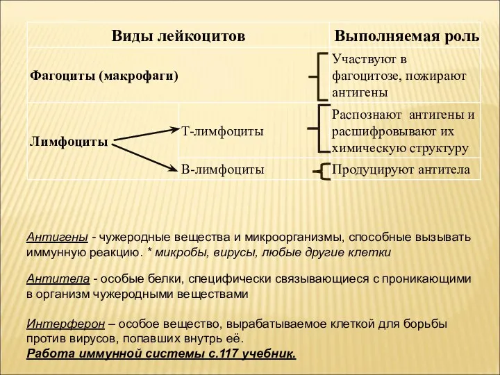 Антигены - чужеродные вещества и микроорганизмы, способные вызывать иммунную реакцию.