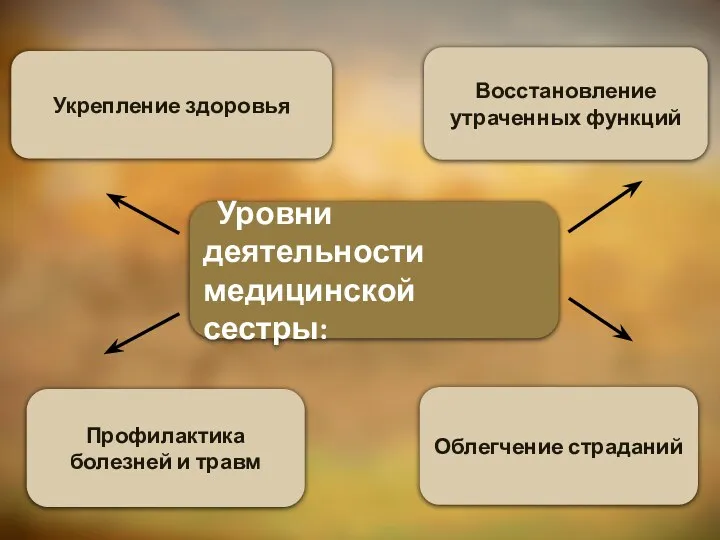 Уровни деятельности медицинской сестры: Профилактика болезней и травм Облегчение страданий Укрепление здоровья Восстановление утраченных функций