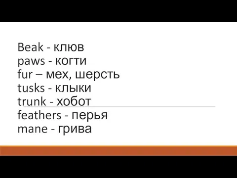 Beak - клюв paws - когти fur – мех, шерсть