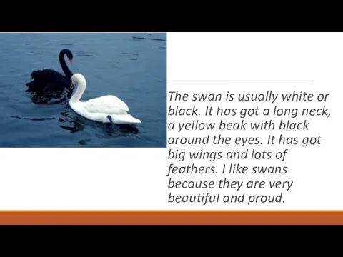 The swan is usually white or black. It has got