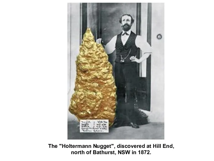 The "Holtermann Nugget", discovered at Hill End, north of Bathurst, NSW in 1872.