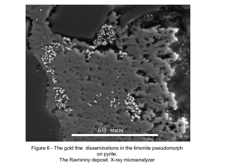 Figure 6 - The gold fine disseminations in the limonite pseudomorph on pyrite.