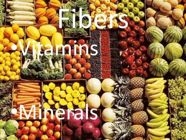 Fibers Vitamins Minerals