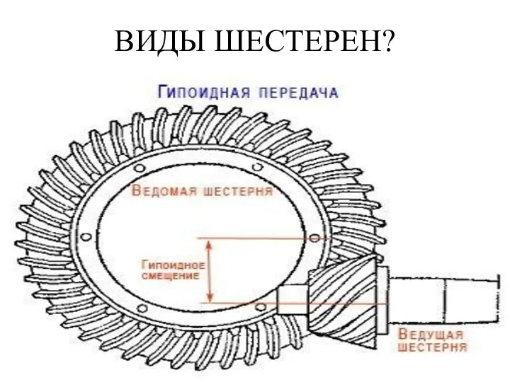 ВИДЫ ШЕСТЕРЕН?