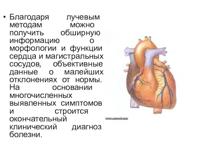 Благодаря лучевым методам можно получить обширную информацию о морфологии и функции сердца и