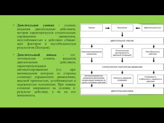 Двигательное умение - степень владения двигательным действием, которая характеризуется сознательным