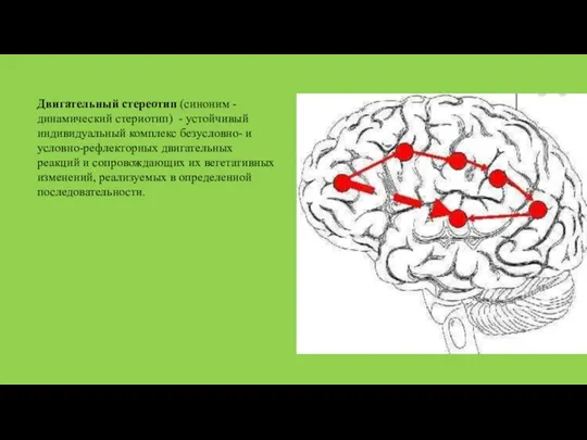 Двигательный стереотип (синоним - динамический стериотип) - устойчивый индивидуальный комплекс