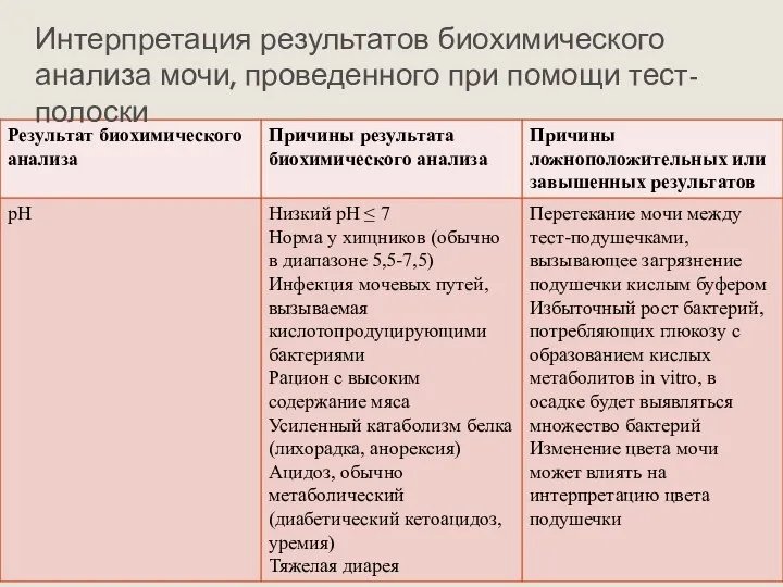 Интерпретация результатов биохимического анализа мочи, проведенного при помощи тест-полоски