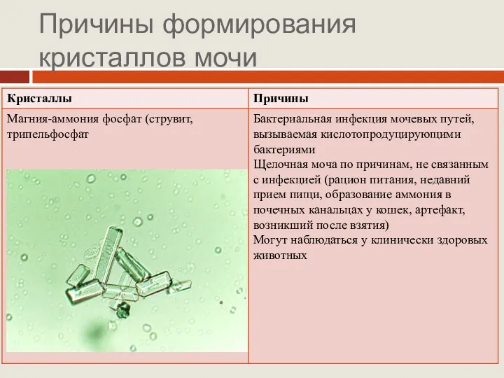 Причины формирования кристаллов мочи