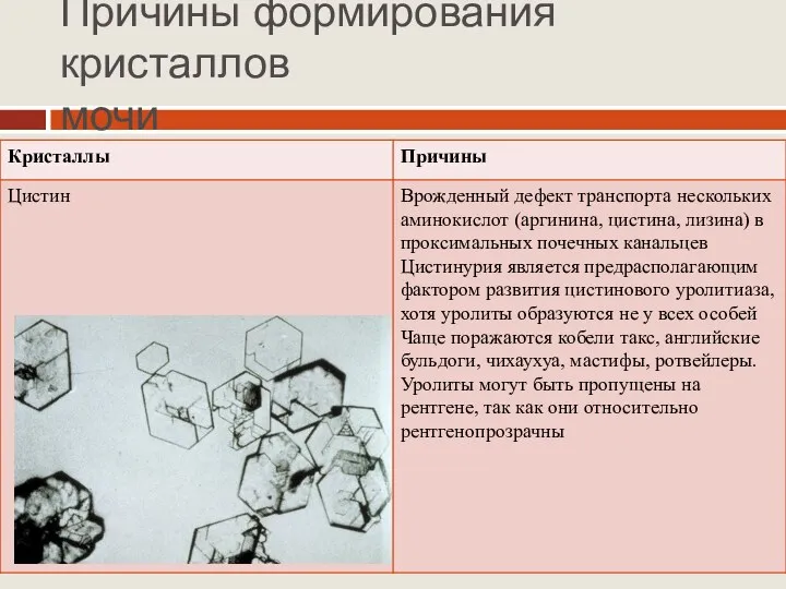 Причины формирования кристаллов мочи