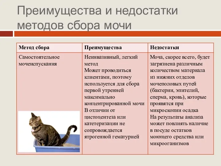 Преимущества и недостатки методов сбора мочи