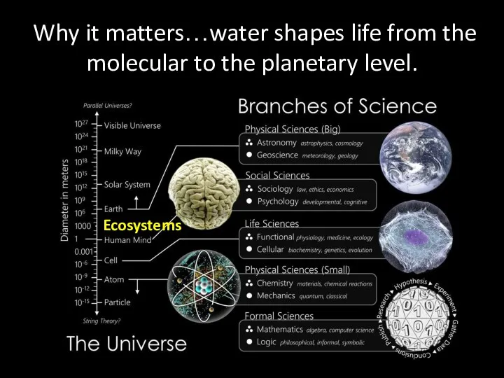 Why it matters…water shapes life from the molecular to the planetary level. Ecosystems