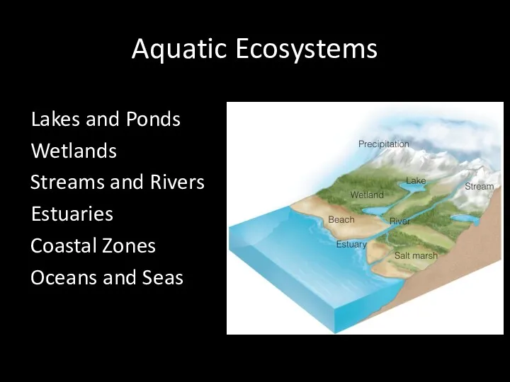 Aquatic Ecosystems Lakes and Ponds Wetlands Streams and Rivers Estuaries Coastal Zones Oceans and Seas