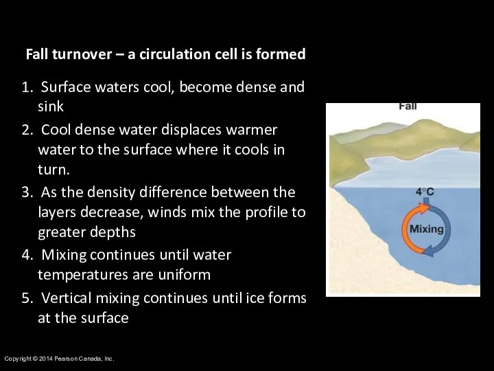Copyright © 2014 Pearson Canada, Inc. Fall turnover – a