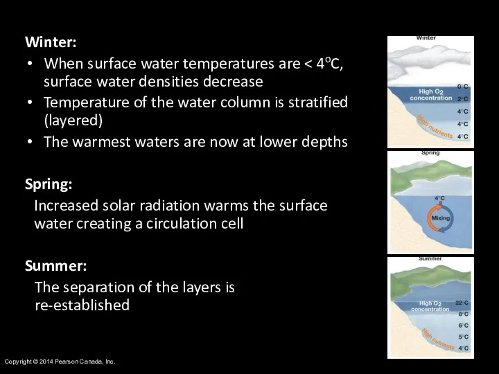 Copyright © 2014 Pearson Canada, Inc. Winter: When surface water