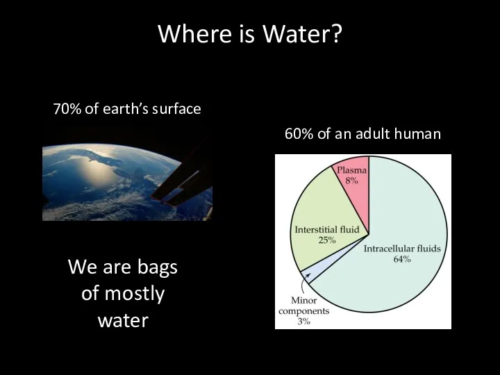 Where is Water? 70% of earth’s surface 60% of an