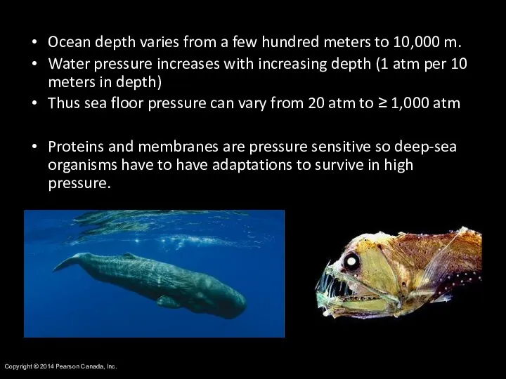 Copyright © 2014 Pearson Canada, Inc. Ocean depth varies from