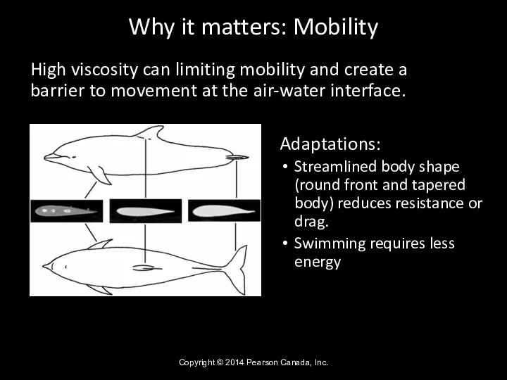Why it matters: Mobility High viscosity can limiting mobility and