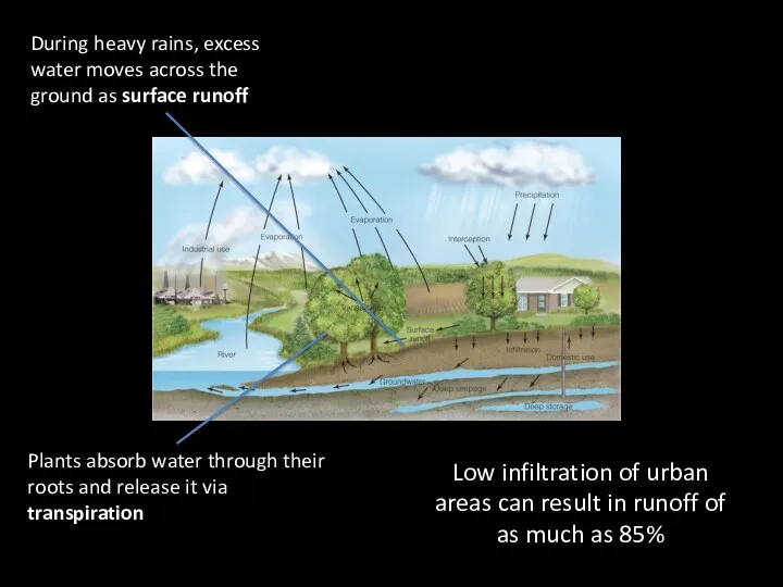 During heavy rains, excess water moves across the ground as