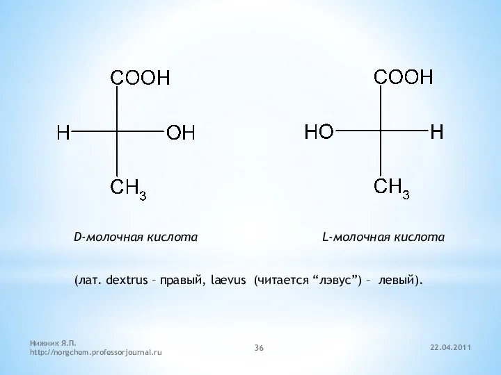 D-молочная кислота L-молочная кислота (лат. dextrus – правый, laevus (читается