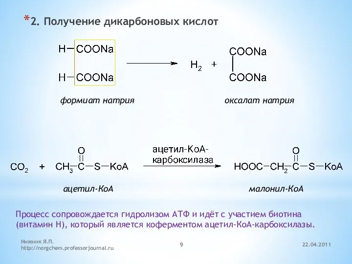 2. Получение дикарбоновых кислот Процесс сопровождается гидролизом АТФ и идёт