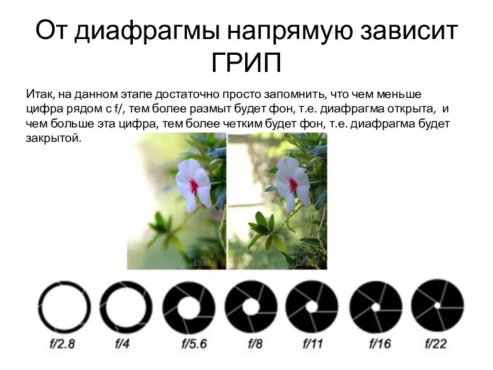 От диафрагмы напрямую зависит ГРИП Итак, на данном этапе достаточно