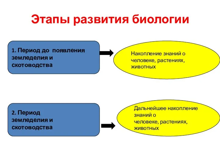 Этапы развития биологии 1. Период до появления земледелия и скотоводства