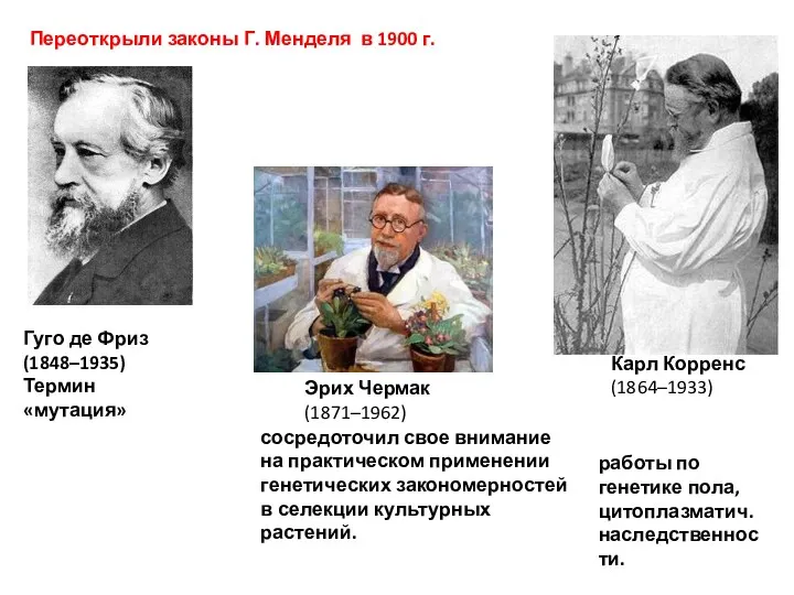 Гуго де Фриз (1848–1935) Термин «мутация» сосредоточил свое внимание на